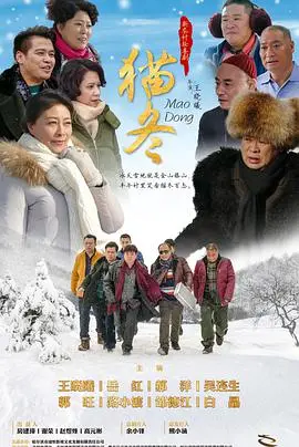 《猫冬》：冰天雪地里的温情救赎，献给每一个挣扎的灵魂