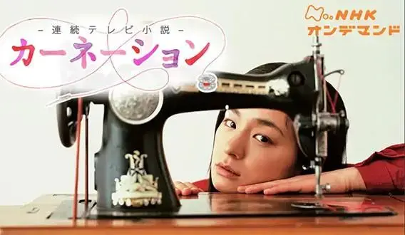 《康乃馨》：母爱的光辉，平凡中的伟大