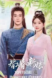 《替婚新娘》：甜蜜谎言背后的真爱奇缘，<a href='/mysterydrama/p/17' target='_blank'>温情</a>治愈！