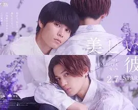 《美丽的他 第二季》：颜值即正义？深度解读日剧中的自我救赎与情感羁绊