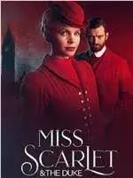 《天堂岛疑云 第十三季》：熟悉的配方，依然致命的魅力，揭开岛上最新悬案的层层迷雾